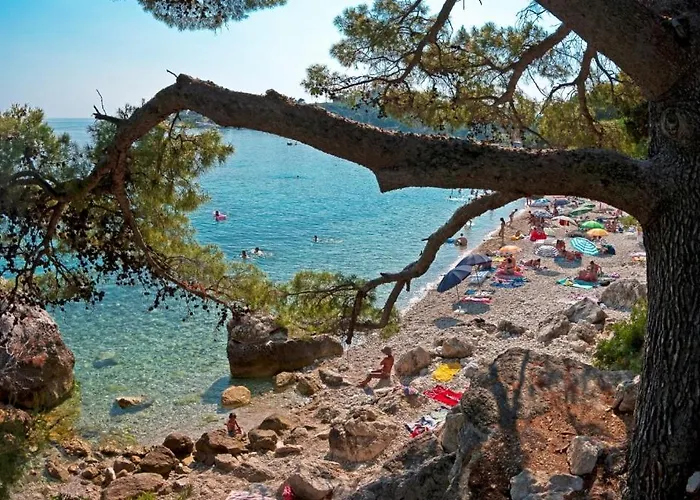 Aurora Seaview * 米利尼